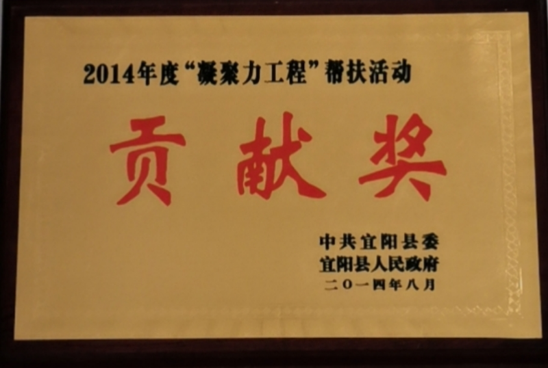 2014年度凝聚力工程幫扶活動(dòng)貢獻獎