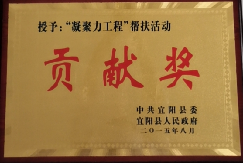 2015凝聚力工程幫扶活動(dòng)貢獻獎